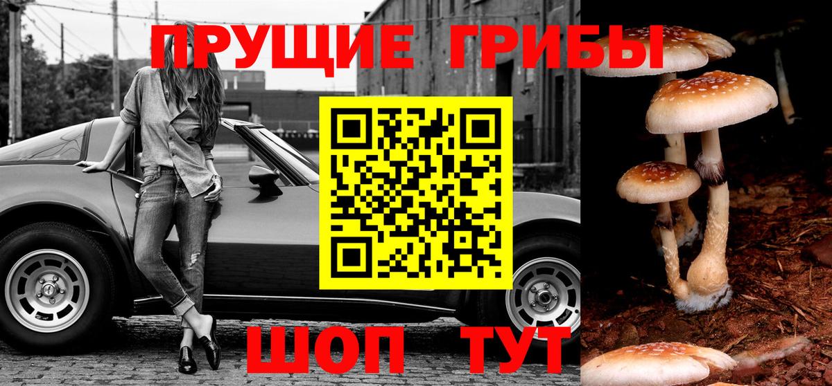 Псилоцибиновые грибы Magic Shrooms  Вход с VPN  Рязань 